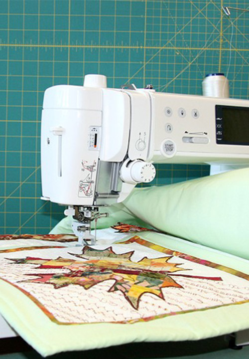 Мастер-класс по созданию панно «Осенняя сказка», выполненный на швейном машине Elna eXcellence 720PRO