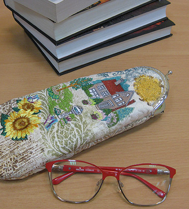 Мастер-класс «Очечник», выполненный на Elna eXcellence 760 и Elna eXpressive 830 